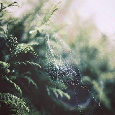 ManBetx万博全站APP最新版