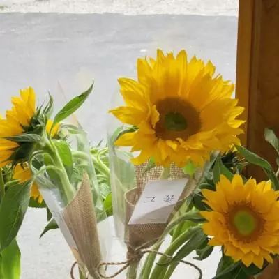 炸金花游戏手机app下载