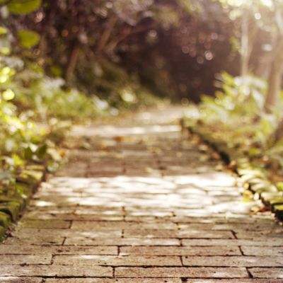 丰禾棋牌下载手机版